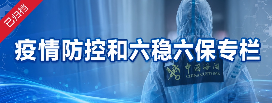 聚力“六稳”“六保”，推进口岸常态化疫情防控，稳外贸稳外资